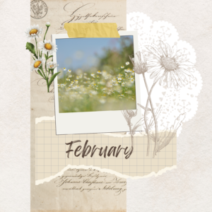 Junk Journaling | JHB