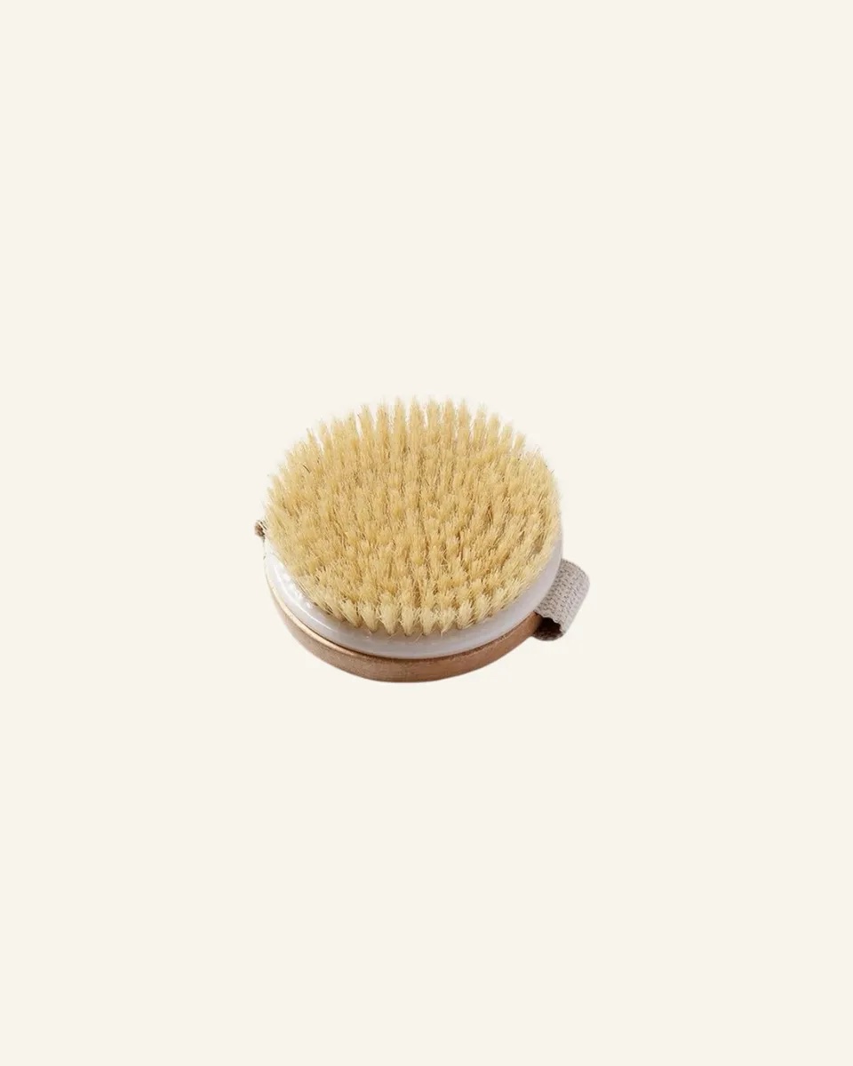 Dry Brush - Image 3