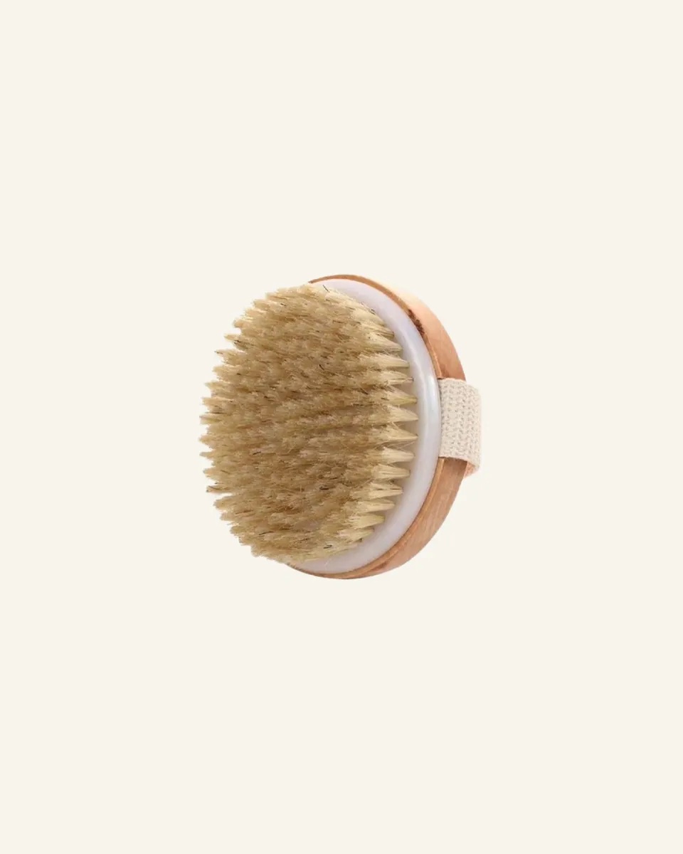 Dry Brush - Image 5